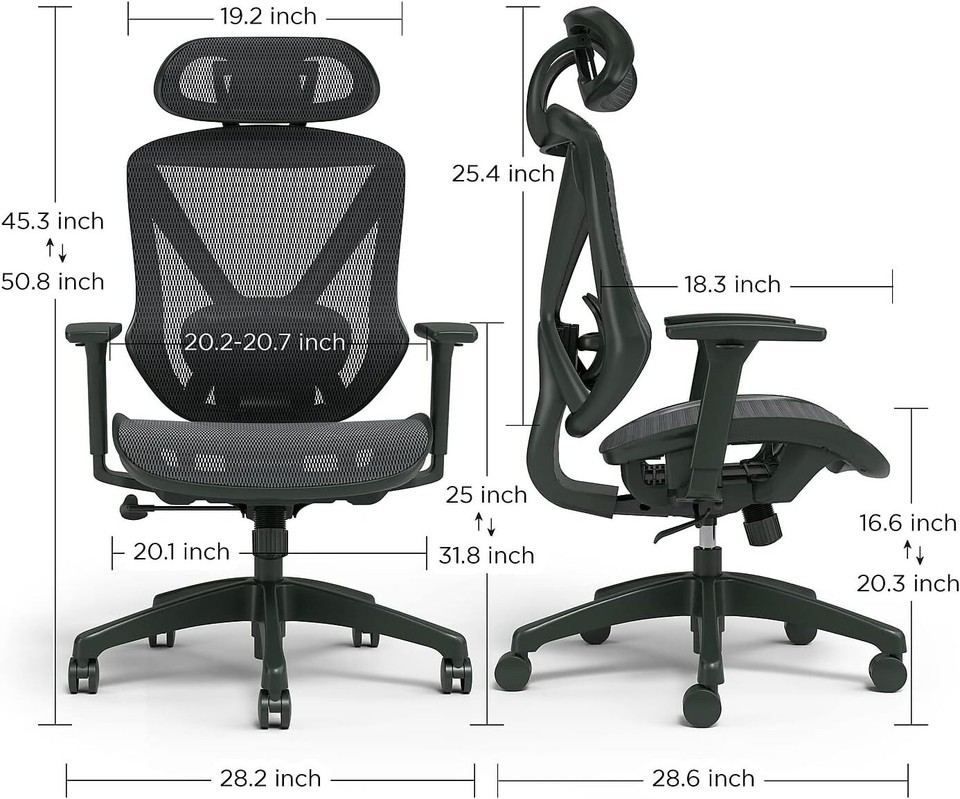 Dexley Ergonomic Mesh Swivel Task Chair, Black (UN56946) eBay