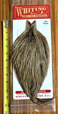 Whiting Pro Grade Golden Badger Rooster Cape, Neck, Fly Tying