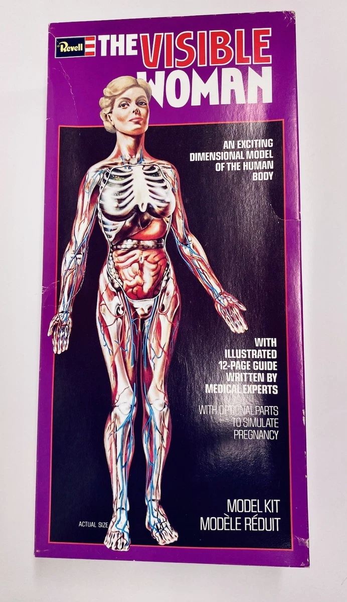 visible woman products for sale | eBay