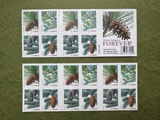 20 Forever First Class Christmas Tree Pine Cones Holiday Evergreens Stamps