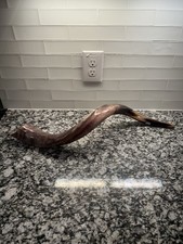 Yemenite Shofar Kudu Horn, Kosher Made