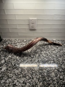 Yemenite Shofar Kudu Horn, Kosher Made