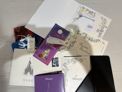 Disneyland Paris Park & Hotel 2017 Memorabilia Konvolut Prospekt Karte Kofferanhänger