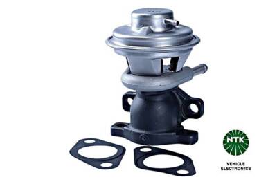 NGK/NTK AGR Ventil Stahl Für FIAT Ducato Bus IVECO Daily IV 06-11 71793031