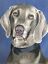 thumbnail 6  - Weimaraner Flag House Banner Best of Breed Dog Flag, Outdoor, Double Layered.