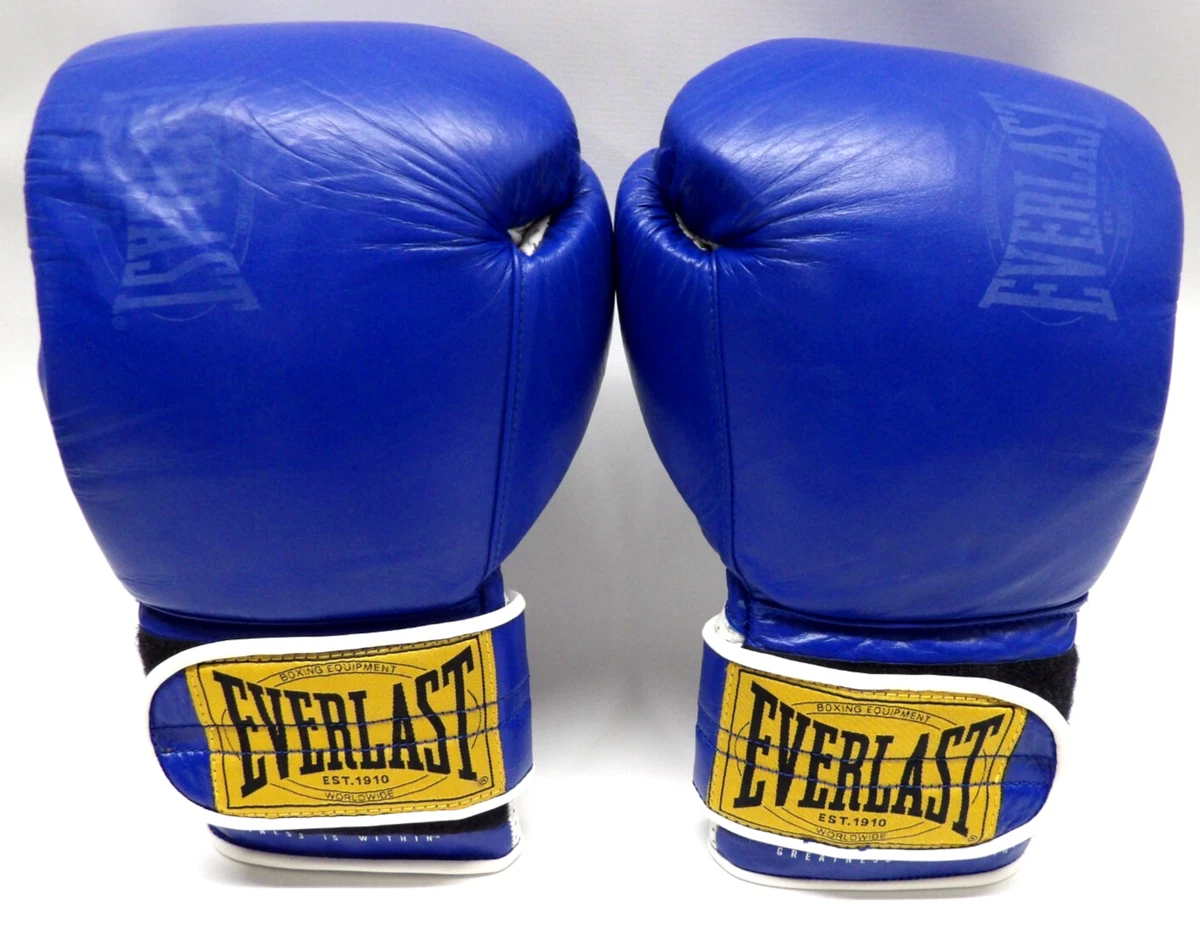 Everlast Blue 16 oz. Weight Boxing Gloves for sale | eBay