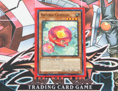 YU-GI-OH! CAMÉLIA NATURIA : C DABL-FR021 EUR 1,00 - FR