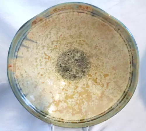 EDGECOMB POTTERS large crystalline glaze art pottery  bowl.  12". Beige-green.