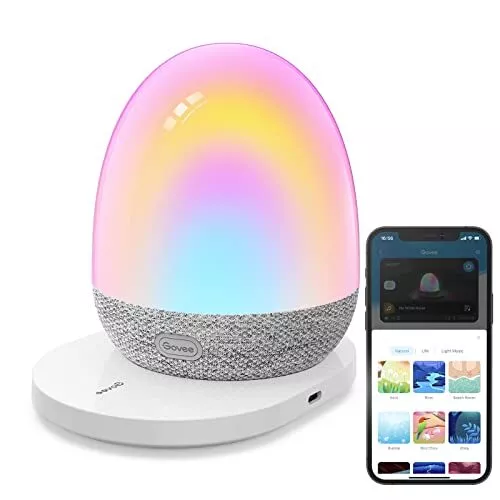 Govee speaker deals