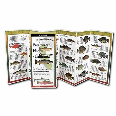Freshwater Fishes of California - Paperback, by Werner Robert G - Very Good