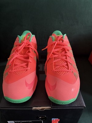 Size 11,5- Nike Le Bron X Low