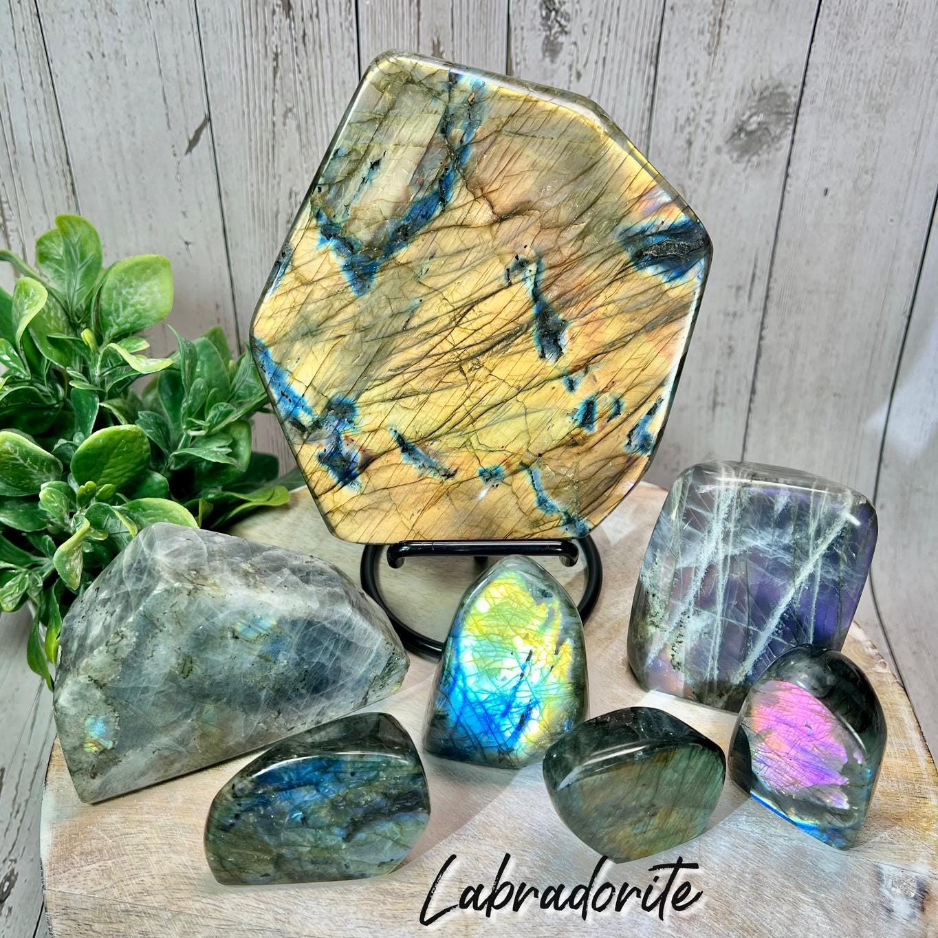 Labradorite Freeform, Purple Flash Labradorite, Rainbow Flash Labradorite,