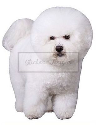 Autoaufkleber Bordeaux Dogge Hund B04 Sticker-12cm