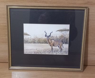 David Cubbin african wildlife art print mounted framed 12.5 x 11 inch Antelope