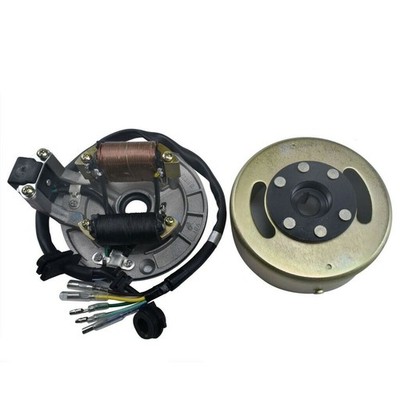 2 Coil Magneto Stator Flywheel for Kick Start Apollo RFZ125 SSR 110 140 Pit Bike