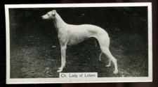 Tobacco Card, John Sinclair, CHAMPION DOGS, A Series, 1938, Greyhound, #23