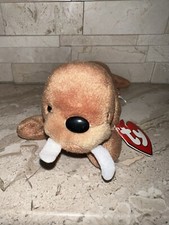 Ty Beanie Baby Tusk The Walrus With 3rd Gen Hang Tag 2nd Tush