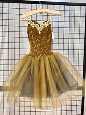 Secondhand Ballet Tutu Costume Gold Navy Velvet Tulle, Teen, Small Adult