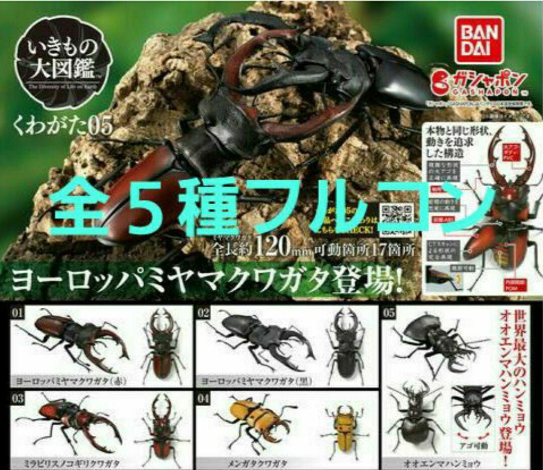Ikimono Encyclopedia Stag Beetle 05 Complete set All 5 types