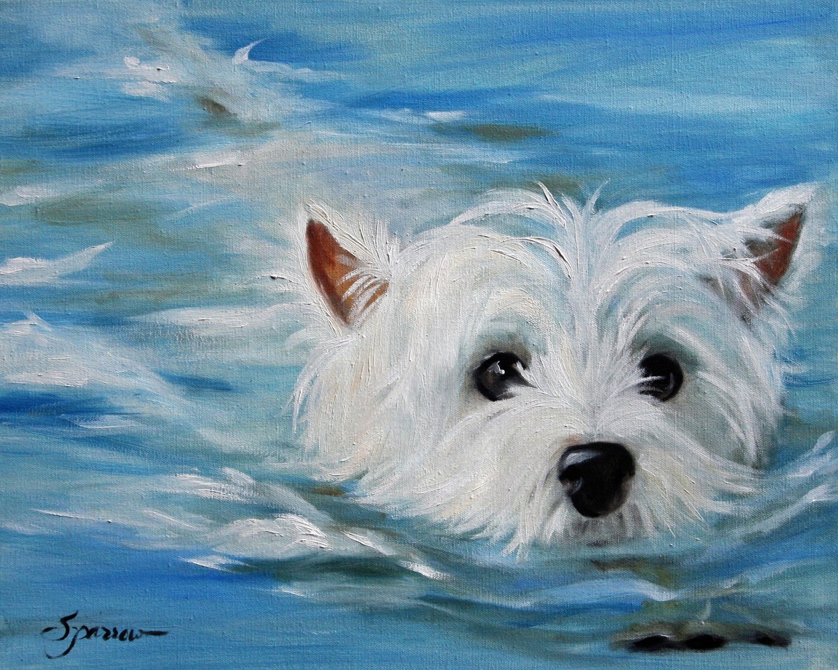 westie West Highland White Terrier Dog art Print Swimming puppy by MARY  SPARROW