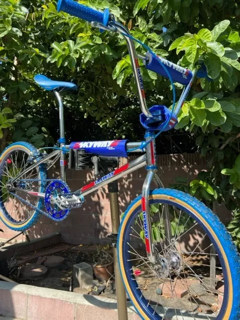 Vintage skyway bicycle hotsell