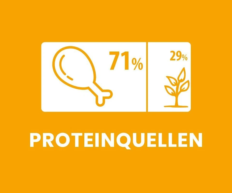 Josera JosiDog Economy Adult Trockenfutter 2x15kg für ausgewachsene Hunde - Bild 4 von 4