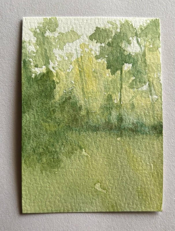 ACEO Original Watercolor Painting on Watercolor Paper, Trees, Small