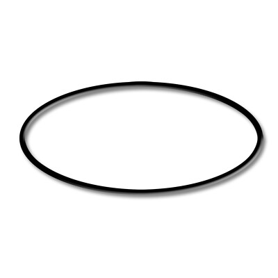 TTSunSun Spare Part Swimming Pool Pump HZS-550 O-Ring 3