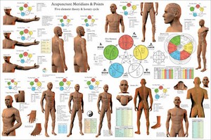 Meridian Charts Poster