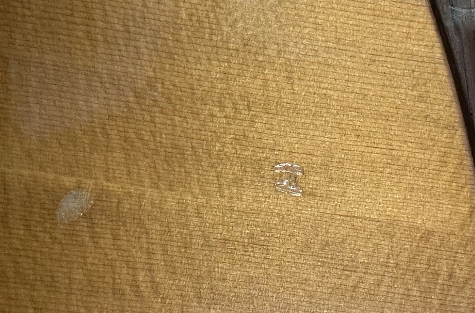 Picture 15 of 24