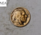 1920-D Buffalo Nickel ~ Very Fine VF++ ~ Semi-Key Date! ~ ZB142