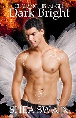 DARK BRIGHT: CLAIMING HIS ANGEL By Shea Swain & Swain Dan Iii **BRAND NEW**