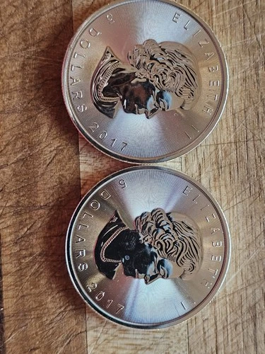 2 - 2017  silver maple leafs