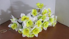 Large Lot of White  Yellow DAFFODIL FLOWER FLORAL STEMS