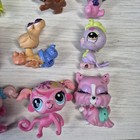 Bild 7 von 18