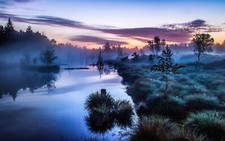 Landscape nature mist trees shrubs river germany calm Custom Gaming Mat Desk