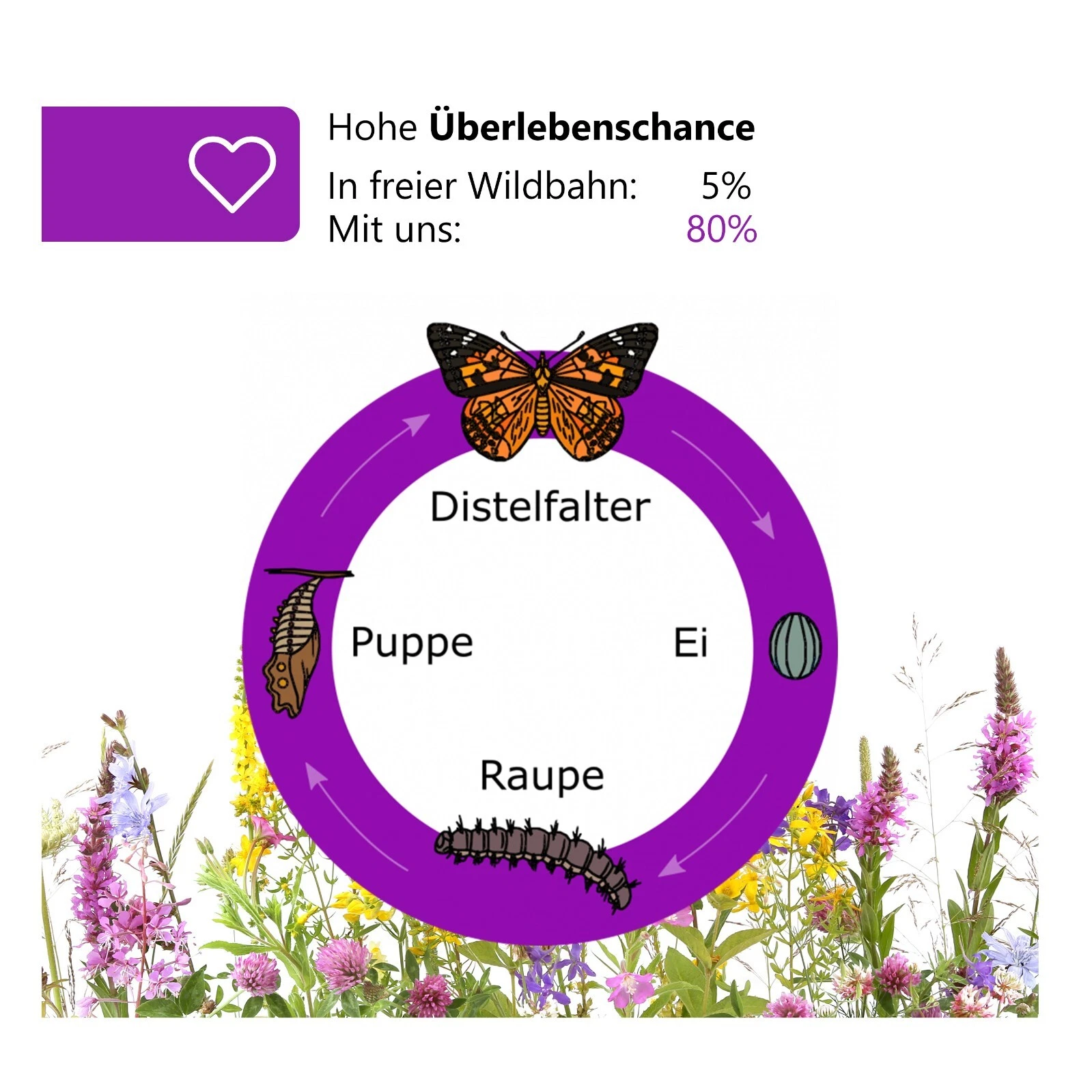 Bild 10 von 16