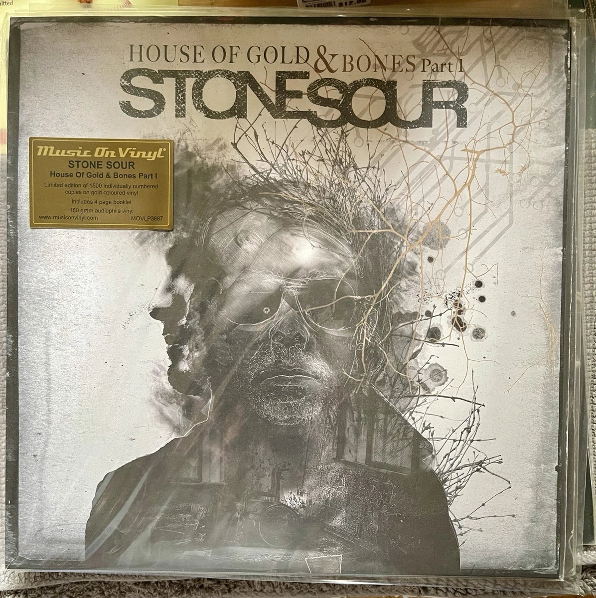 Las mejores ofertas en Stone Sour discos de vinilo | eBay
