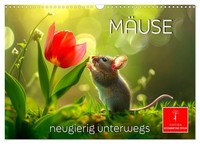 "Calendar 2027 · US Version · Mice - Curious On The Move (Wall Calendar 2027 17\""