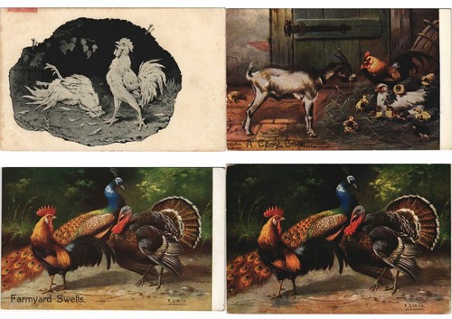 CHICKENS COCKS ANIMALS 39 Vintage Postcards Mostly Pre-1940 (L4099) - Picture 2 of 10