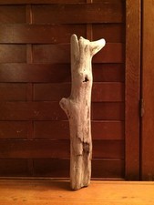 Beautiful 14" DRIFTWOOD Art Piece Terrarium Taxidermy Aquarium Beach Wood DECOR