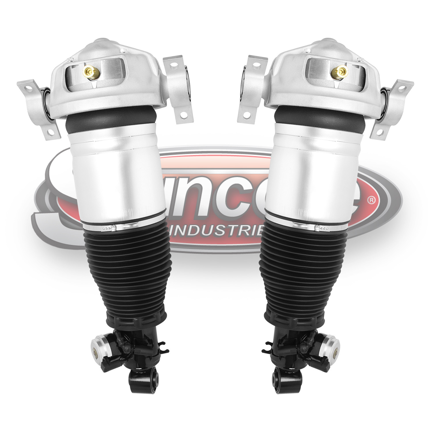 2008-2010 Porsche Cayenne Rear Air Suspension Struts Pair