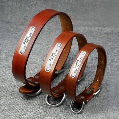 leather nameplate dog collar