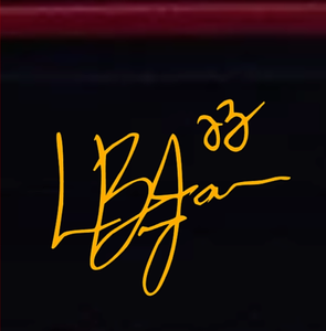 lebron's signature