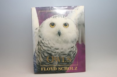 Owls : An Artist's Guide to Understanding Owls by Floyd Scholz (2001, Hardcover)