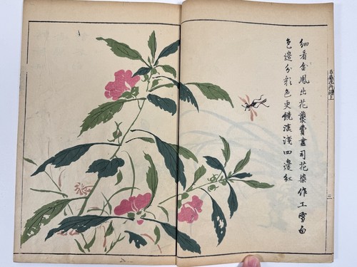 Japanese Woodblock Print Book “Kaishien Sochukakafu” all 4volume 芥子園画伝 - Picture 8 of 24