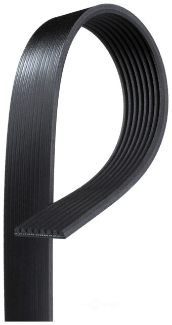 ACDelco 8DK555 Professional Serpentine Belt ACDelco 8DK555 Professional Serpentine Belt