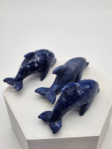 3 Sodalite Dolphins 2.5"x1.5" - Picture 6 of 11