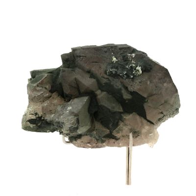 Smoked quartz. 1000.3 ct. Massif du Mont-Blanc, France. Rare.