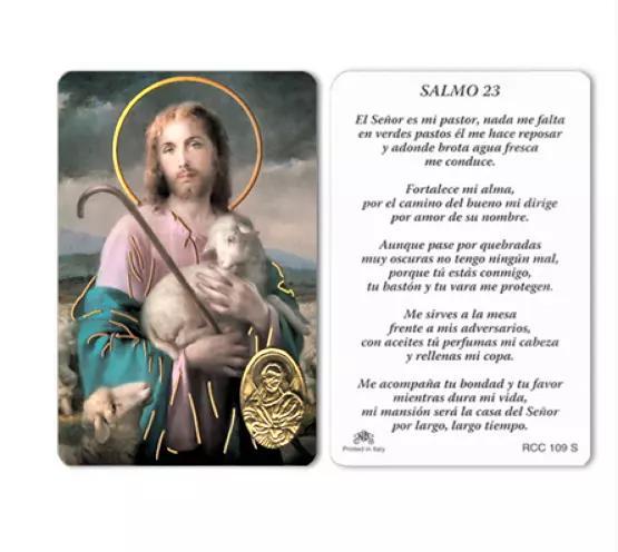 Salmos 23 (Spanish)